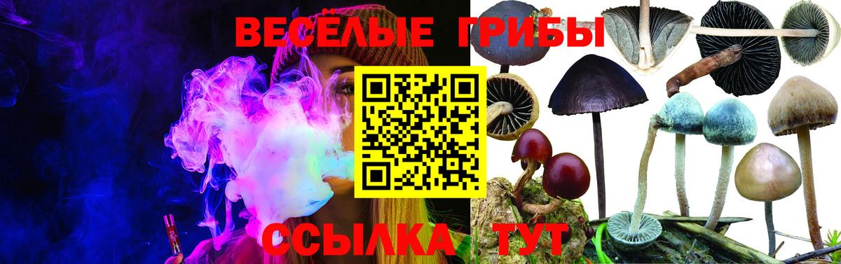 Галлюциногенные грибы мицелий Рузаевка